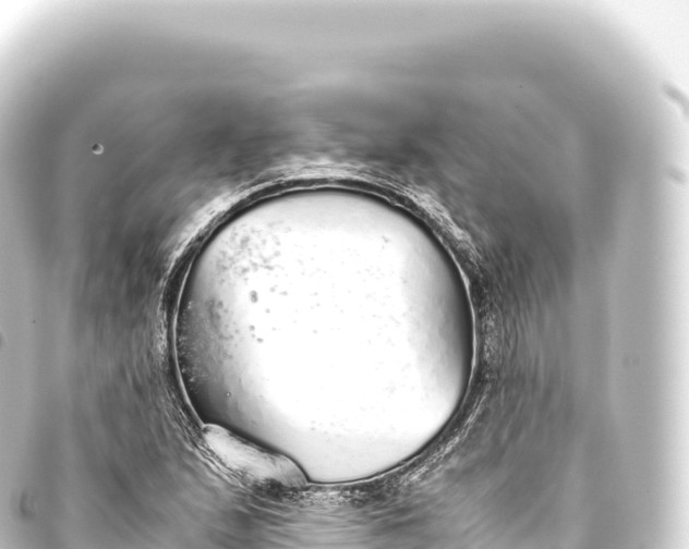 X0000093771167200710301159