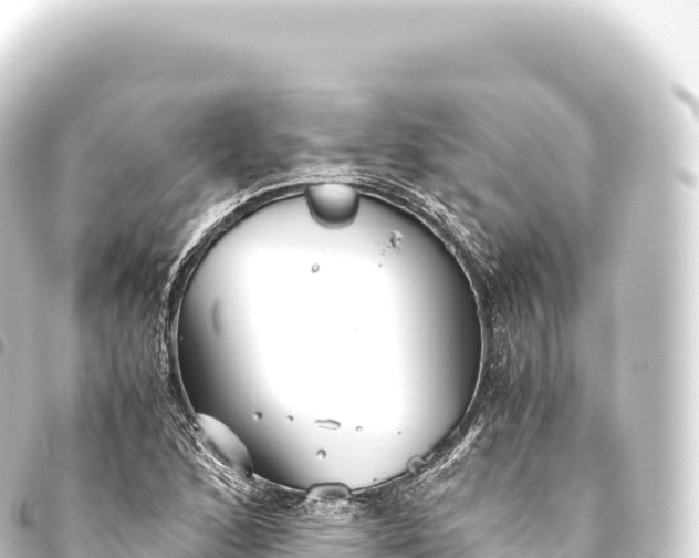 X0000093771168200710301159