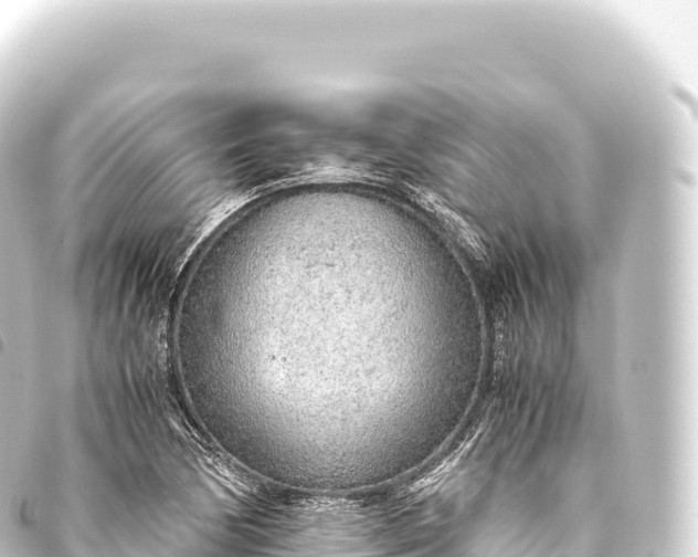 X0000093771170200710301159