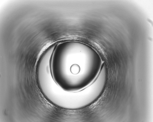 X0000093771172200710301159