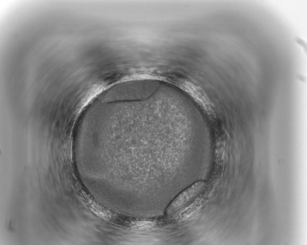 X0000093771173200710301159