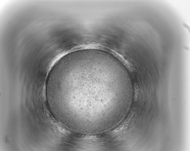 X0000093771174200710301159