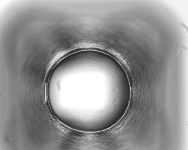 X0000093771175200710301159