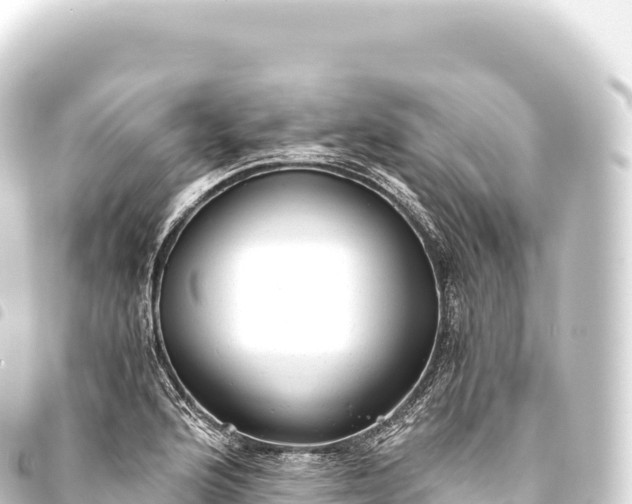 X0000093771176200710301159