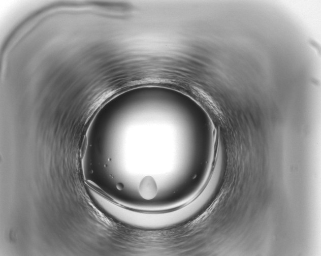 X0000093771177200710301159