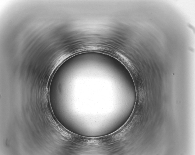 X0000093771178200710301159