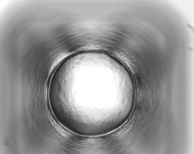 X0000093771179200710301159