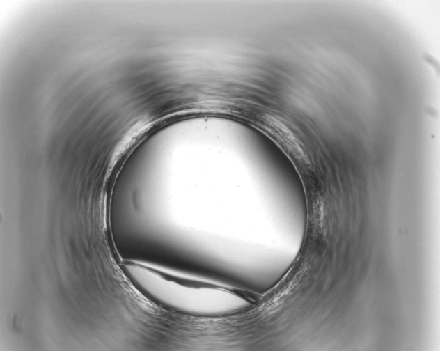 X0000093771180200710301159