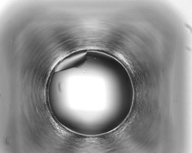 X0000093771181200710301159