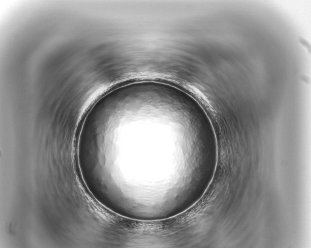 X0000093771183200710301159