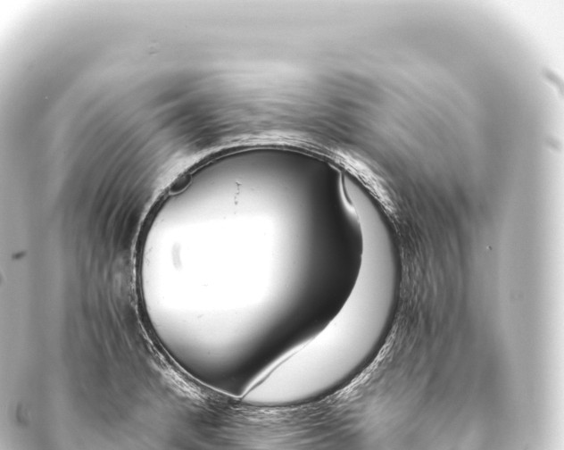 X0000093771184200710301159