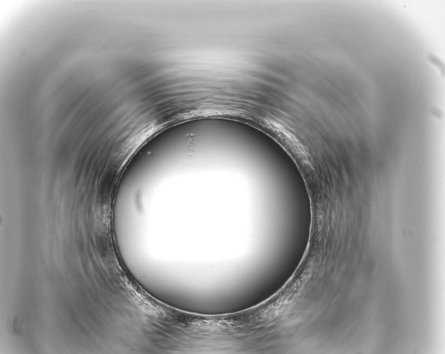 X0000093771185200710301159