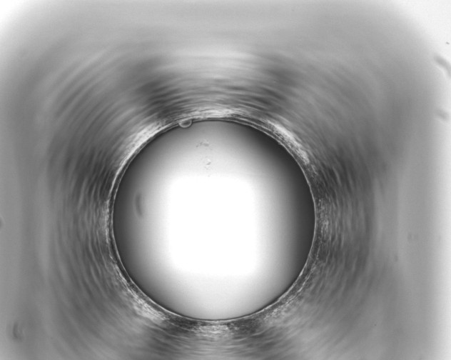 X0000093771186200710301159