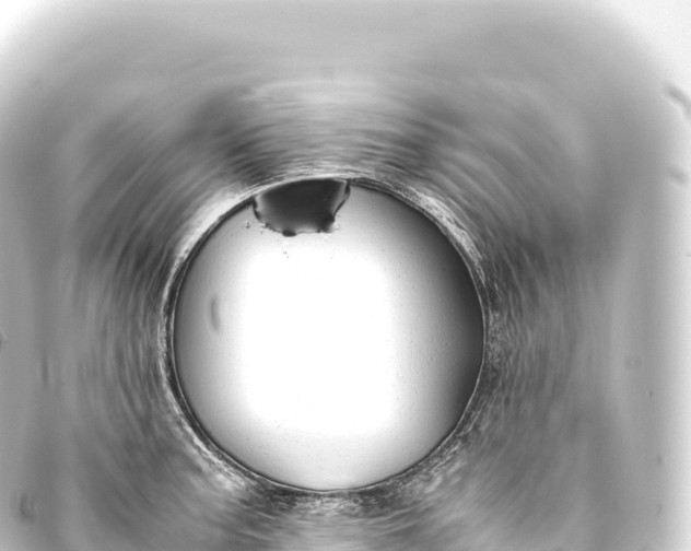 X0000093771187200710301159