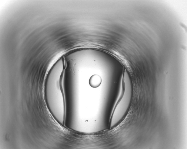 X0000093771188200710301159