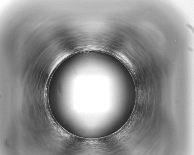 X0000093771190200710301159