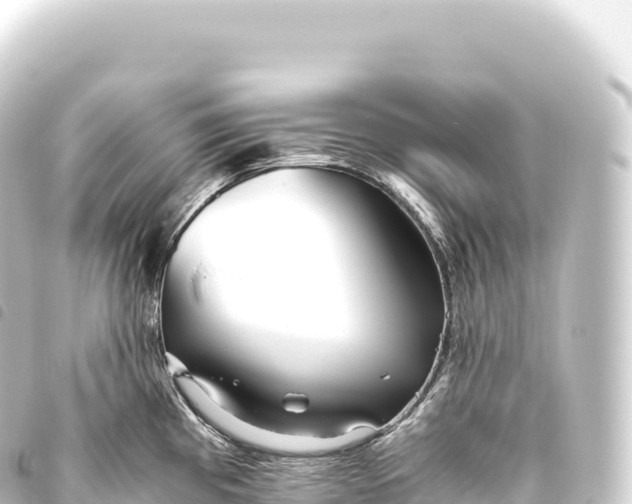 X0000093771193200710301159