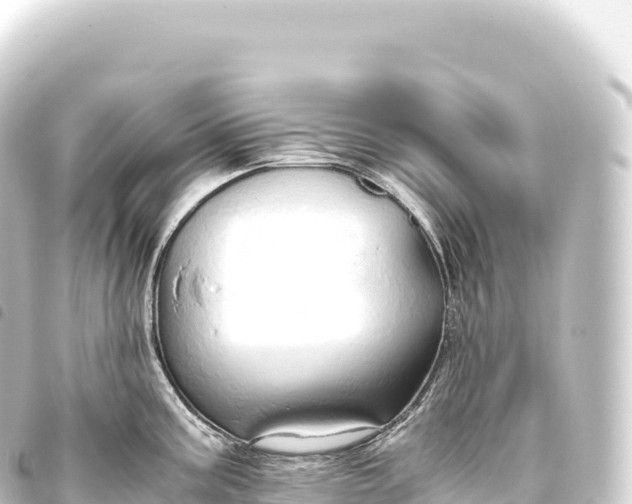 X0000093771195200710301159