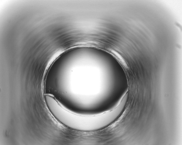 X0000093771196200710301159