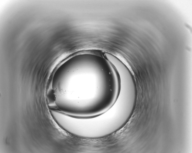 X0000093771197200710301159