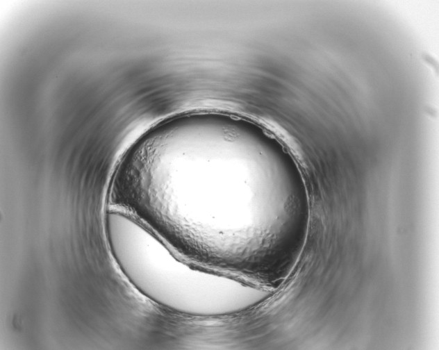 X0000093771199200710301159