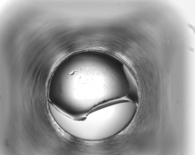 X0000093771200200710301159