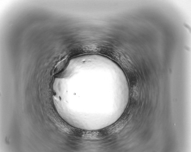 X0000093771201200710301158