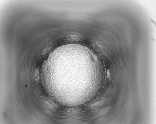 X0000093771203200710301158