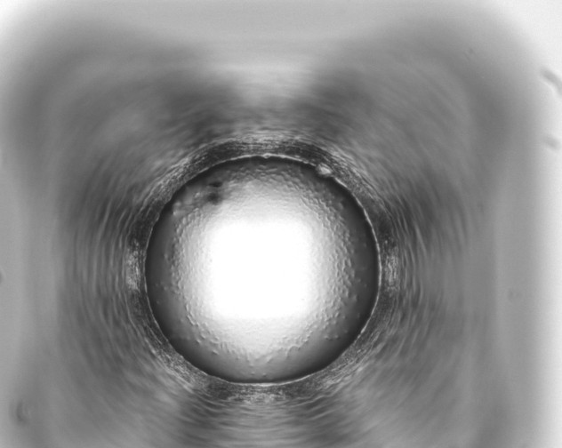 X0000093771204200710301158