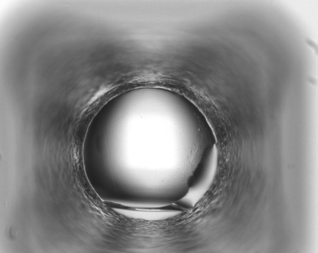 X0000093771206200710301158