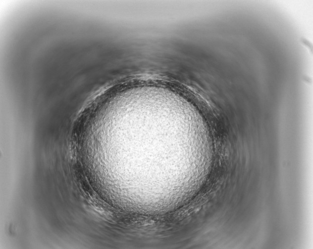 X0000093771207200710301158