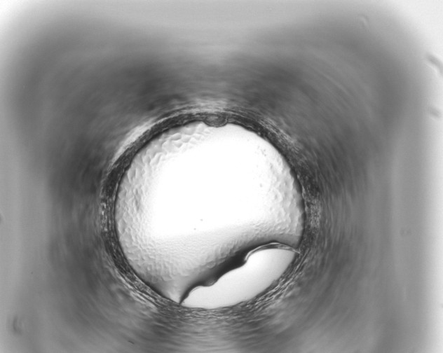 X0000093771208200710301158