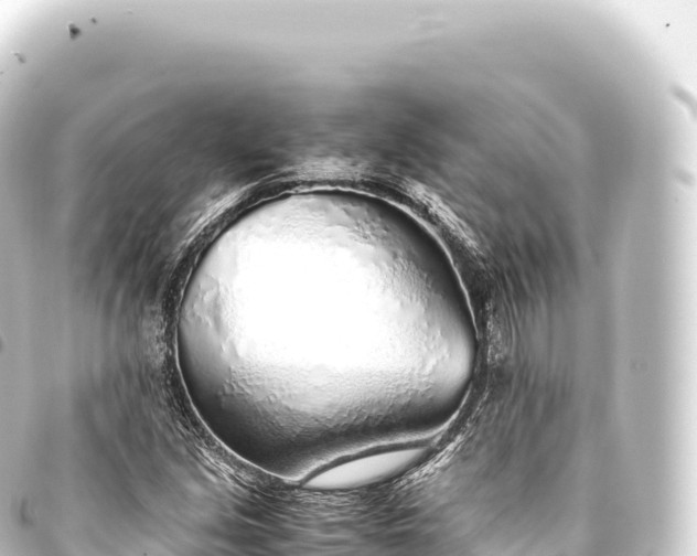 X0000093771213200710301158