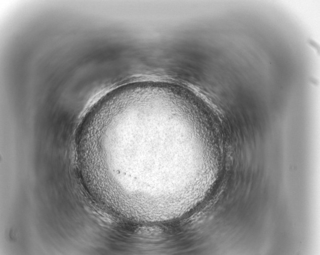 X0000093771215200710301158