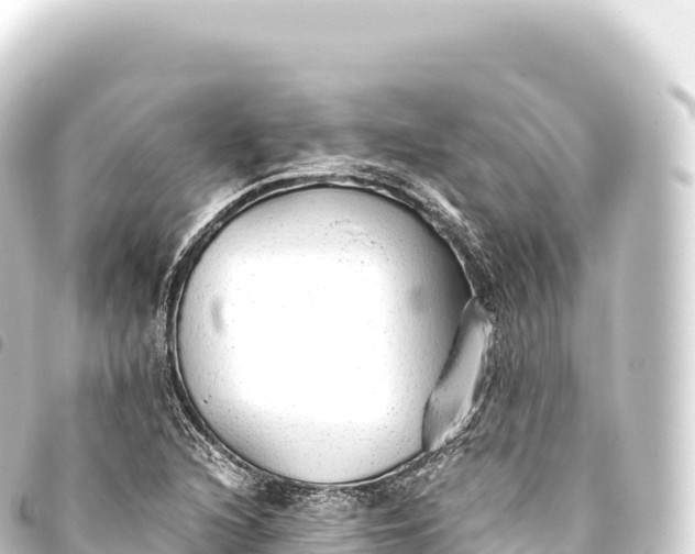 X0000093771216200710301158