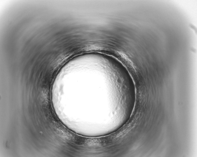 X0000093771217200710301158