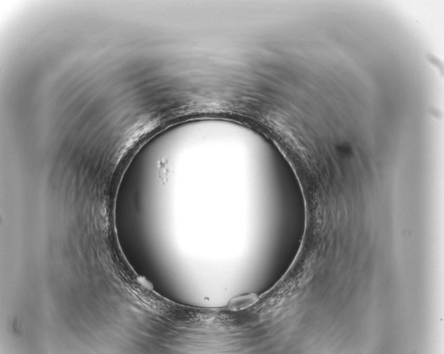 X0000093771218200710301158