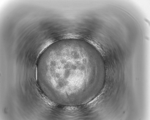 X0000093771219200710301158