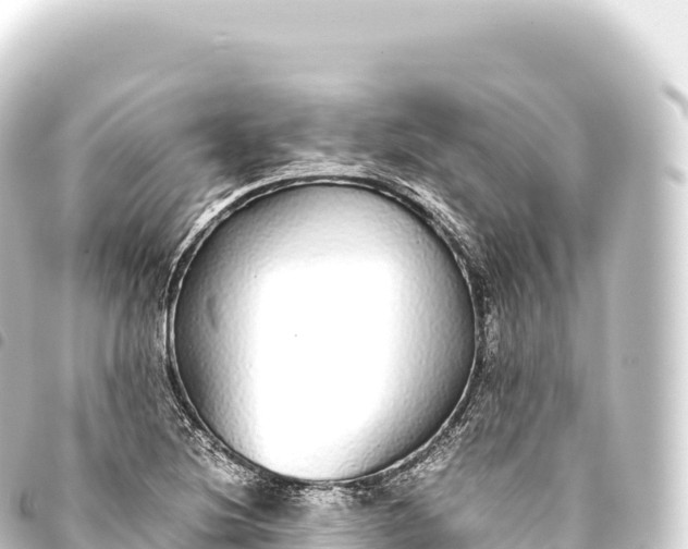 X0000093771220200710301158