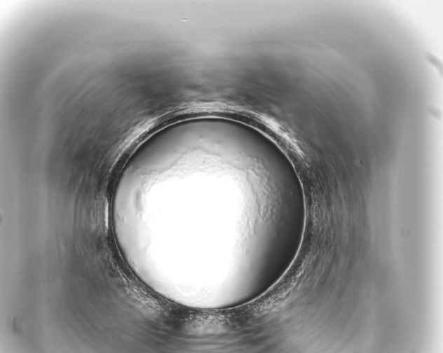 X0000093771221200710301158