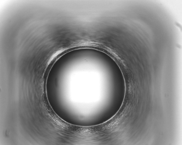 X0000093771222200710301158