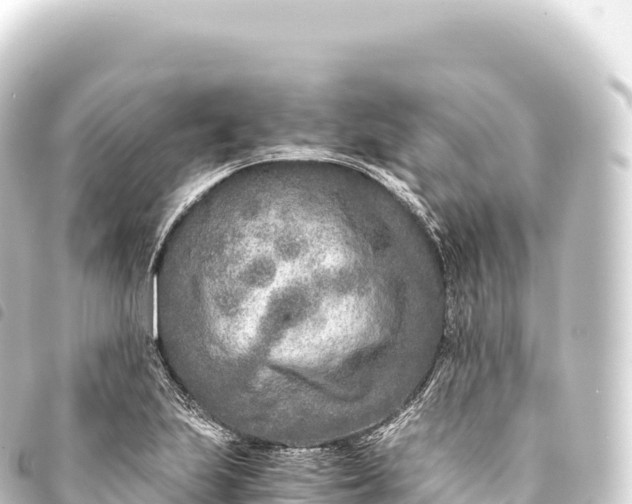 X0000093771223200710301158