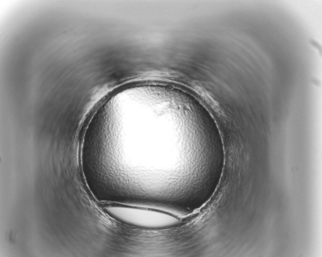 X0000093771224200710301159