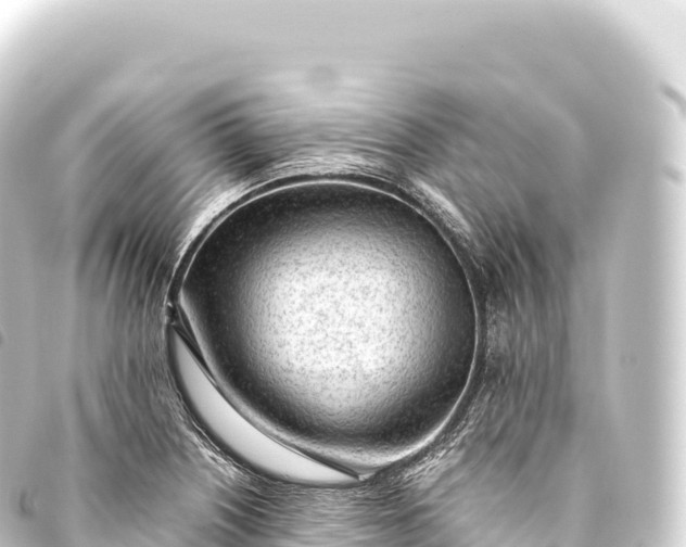 X0000093771226200710301159