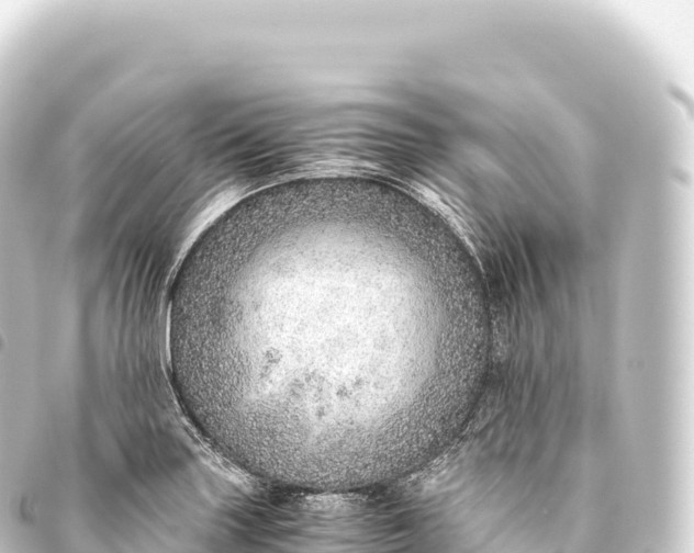 X0000093771227200710301159