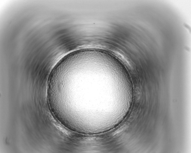 X0000093771228200710301159