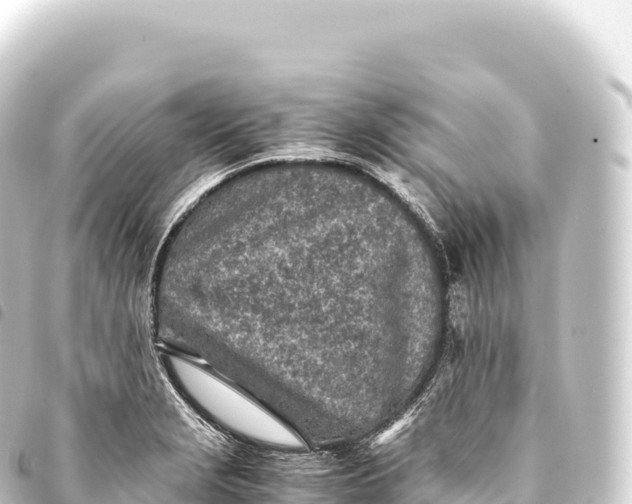 X0000093771229200710301159