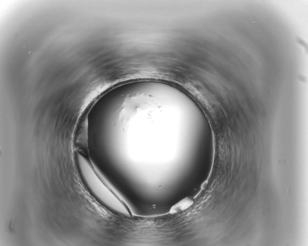 X0000093771230200710301159