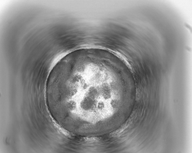 X0000093771231200710301159