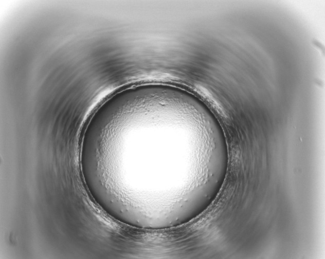 X0000093771232200710301159